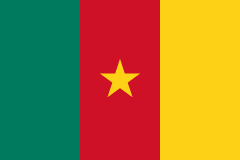 Cameroon flag
