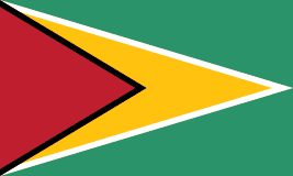 Guyana flag