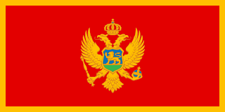 Montenegro flag